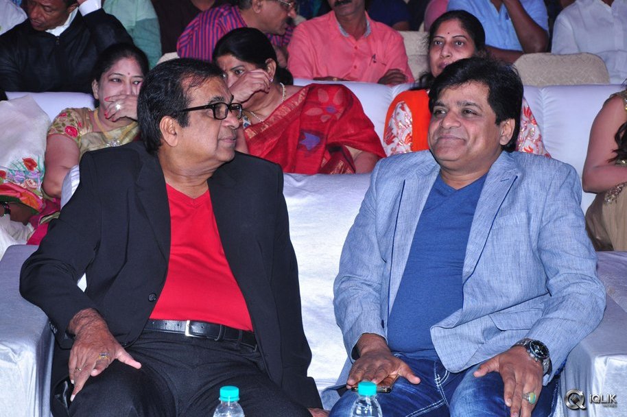 Mama-Manchu-Alludu-Kanchu-Movie-Audio-Launch